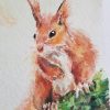 Red squirrel painting